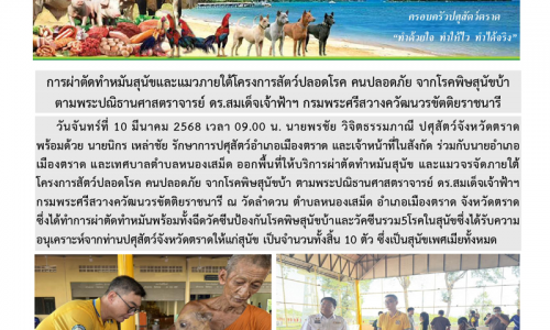 การผ่าตัดทำหมันสุนัขและแมวภายใต้โครงการสัตว์ปลอดโรค คนปลอดภัย จากโรคพิษสุนัขบ้า  ตามพระปณิธานศาสตราจารย์ ดร.สมเด็จเจ้าฟ้าฯ กรมพระศรีสวางควัฒนวรขัตติยราชนารี