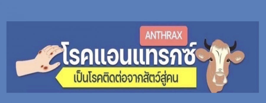 โรคแอนแทรกซ์ ANTHRAX