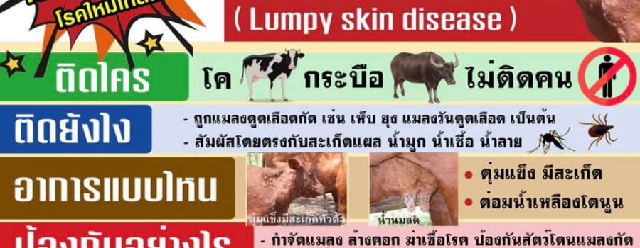 โรคลัมปี สกิน (Lumpy Skin Disease)