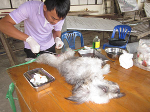 20115503