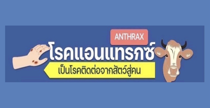 ANTHRAX INFO